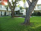 Property Image 908Courtyard with large trees
