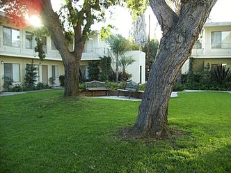 Courtyard with large trees
