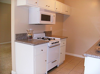 New Granite Counters and Large Micro